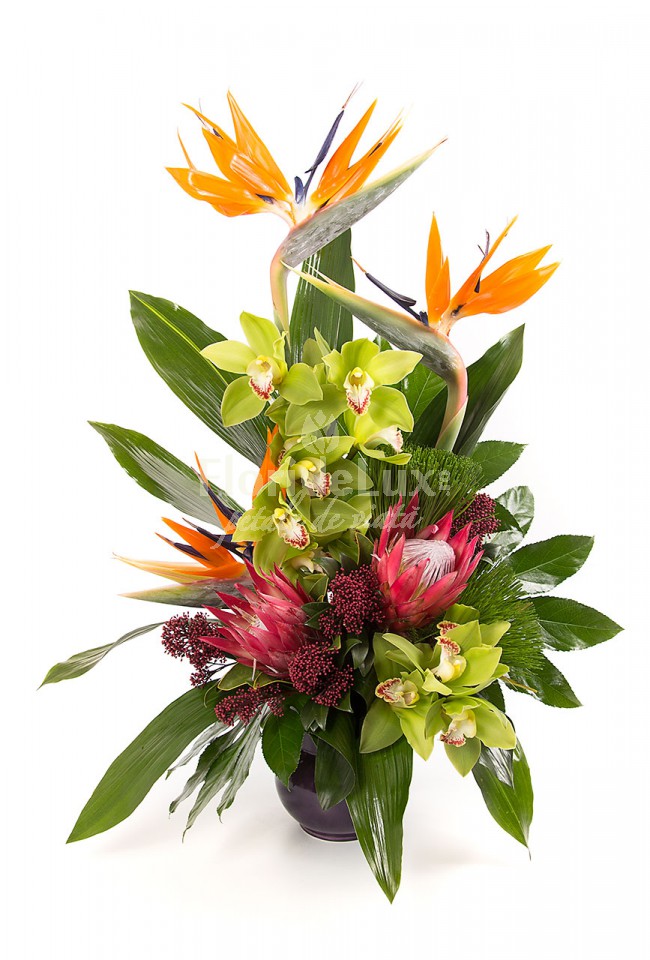 aranjament-floral-business
