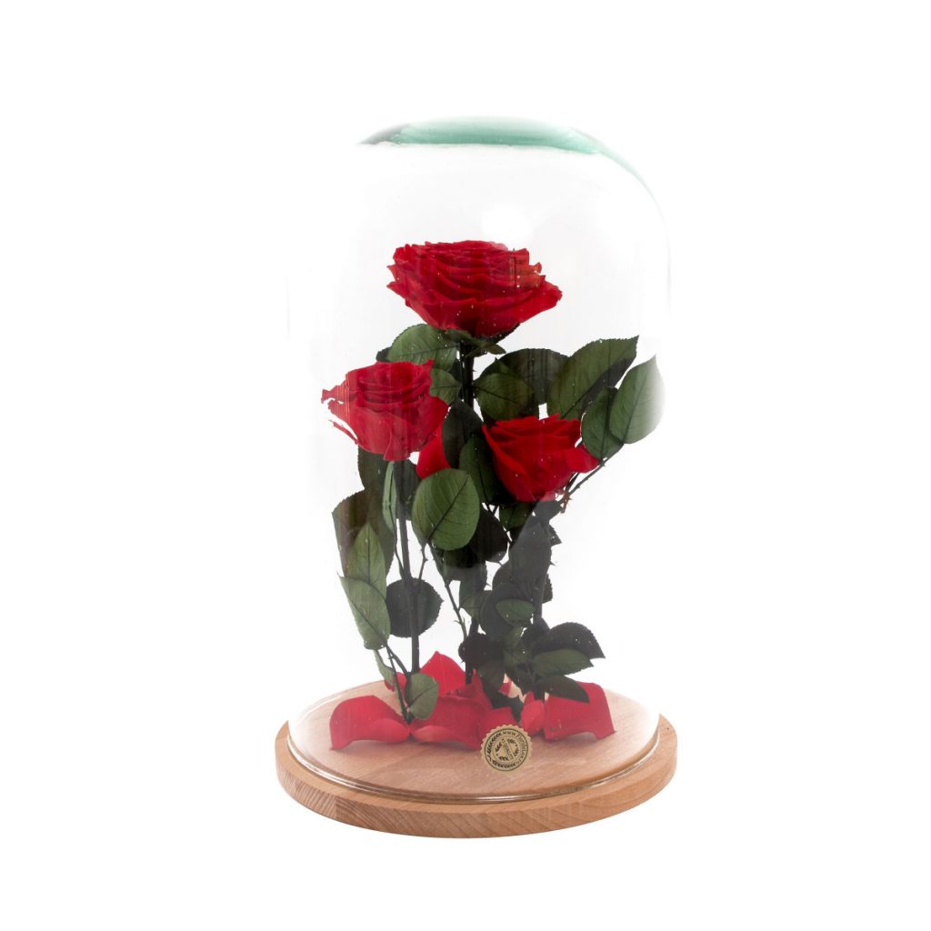 Cupola trandafiri The Touch of Love, doar 529,99 RON!